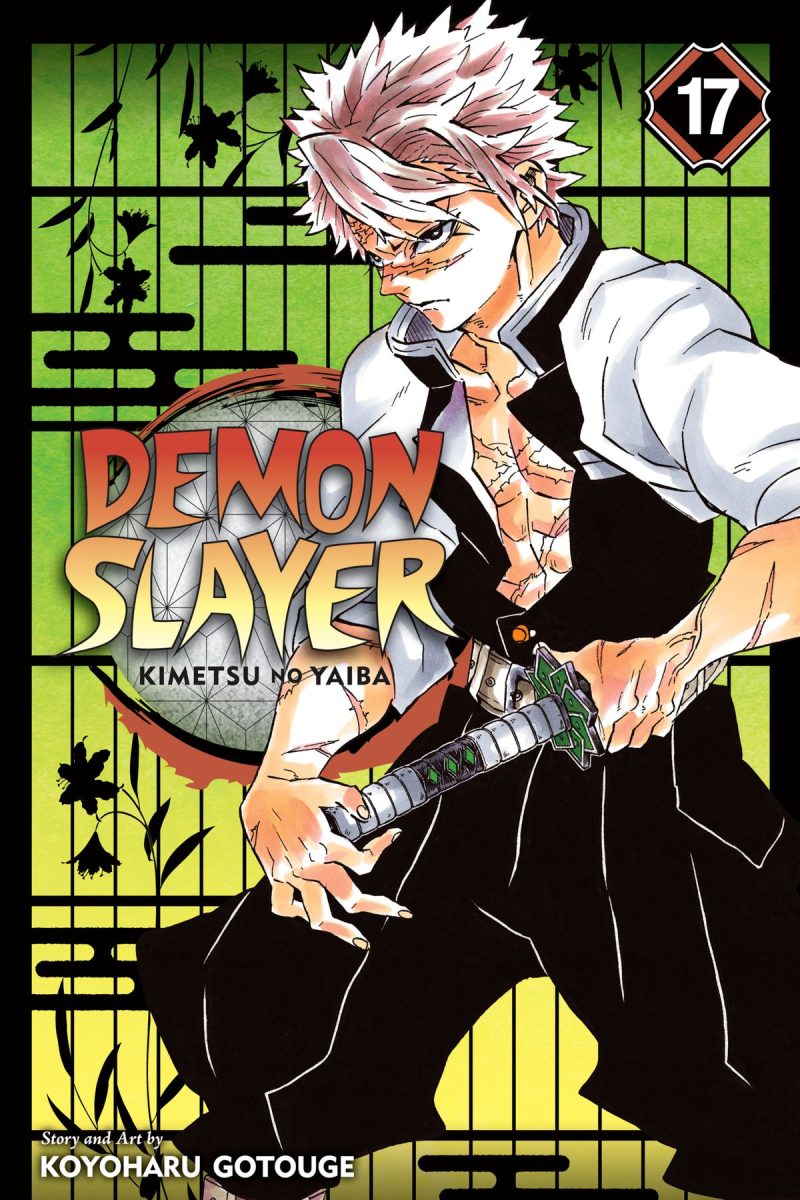 Damon Slayer manga | 17